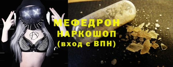 дмт Богданович