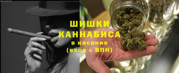 дмт Богданович