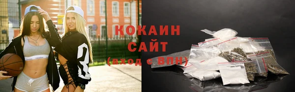 шишки Богородицк