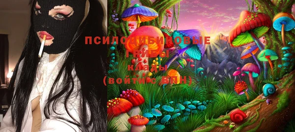 шишки Богородицк