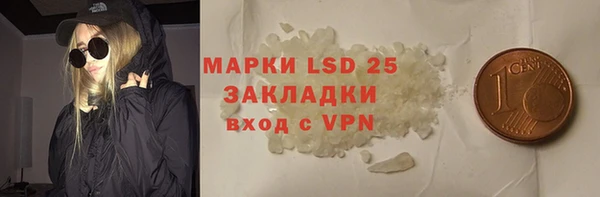 шишки Богородицк