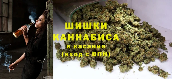 дмт Богданович