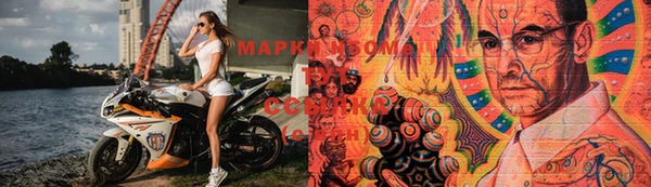 шишки Богородицк