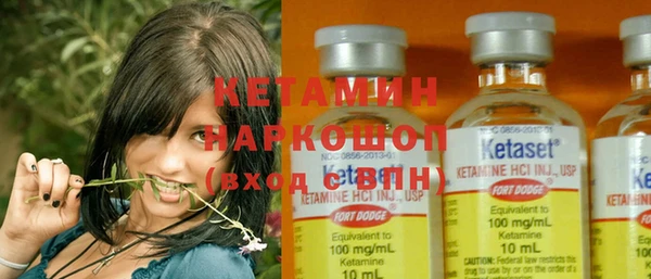 дмт Богданович