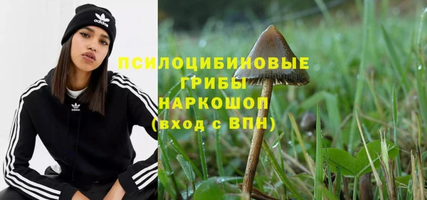 дмт Богданович