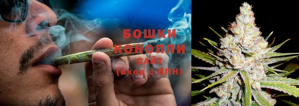 шишки Богородицк