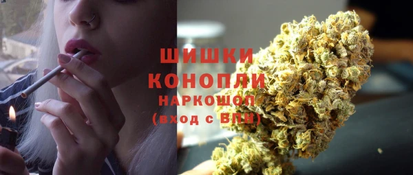 дмт Богданович