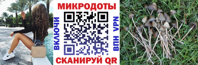 Галлюциногенные грибы Psilocybe  OMG ONION  Белая Калитва  где найти  