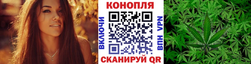 Шишки марихуана SATIVA & INDICA  цена наркотик  Белая Калитва 